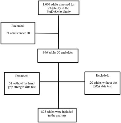 The Association of Osteosarcopenia With Functional Disability in Community-Dwelling Mexican Adults 50 and Older